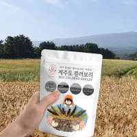 담은제주 제주 컬러보리