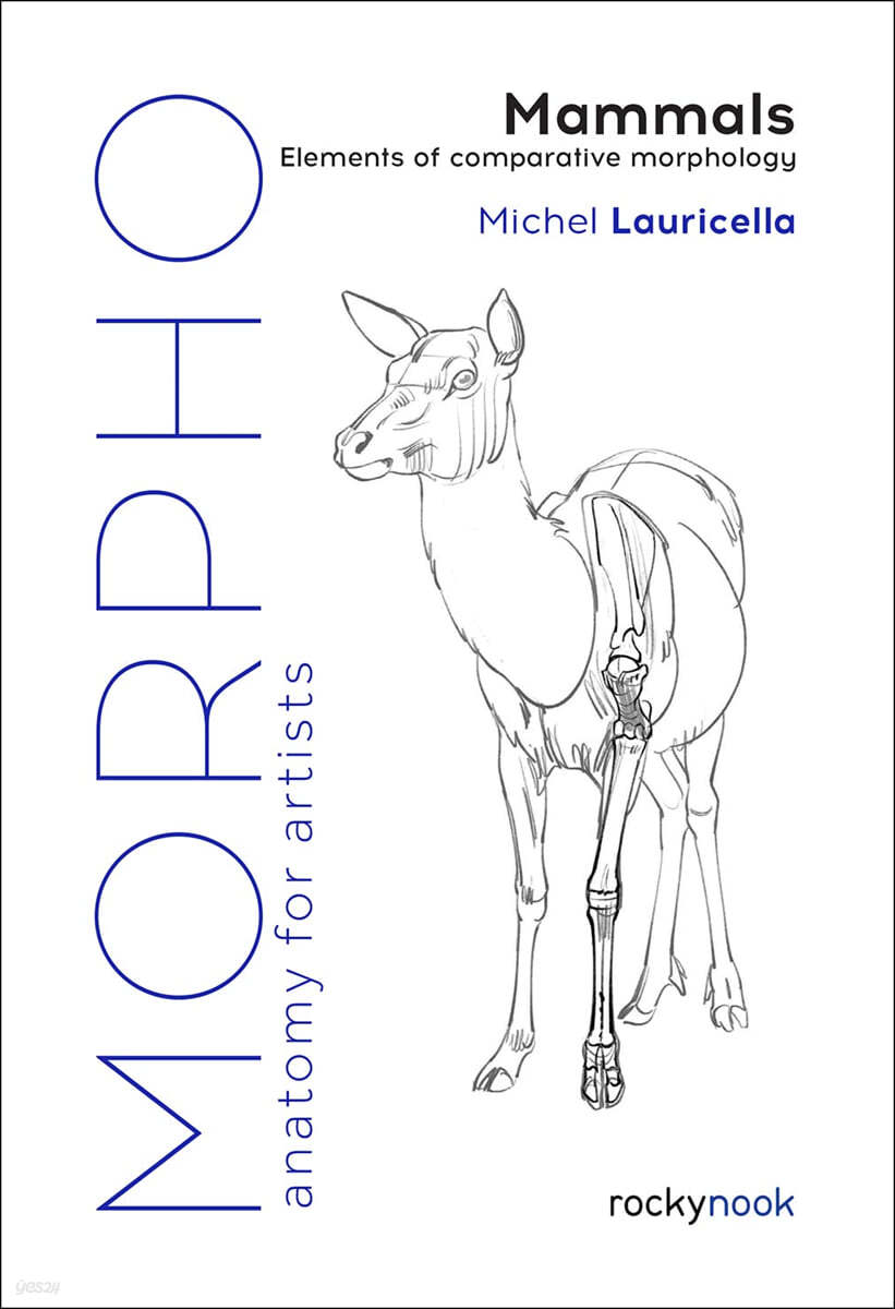 Morpho: Mammals: Elements of Comparative Morphology (Elements of Comparative Morphology)