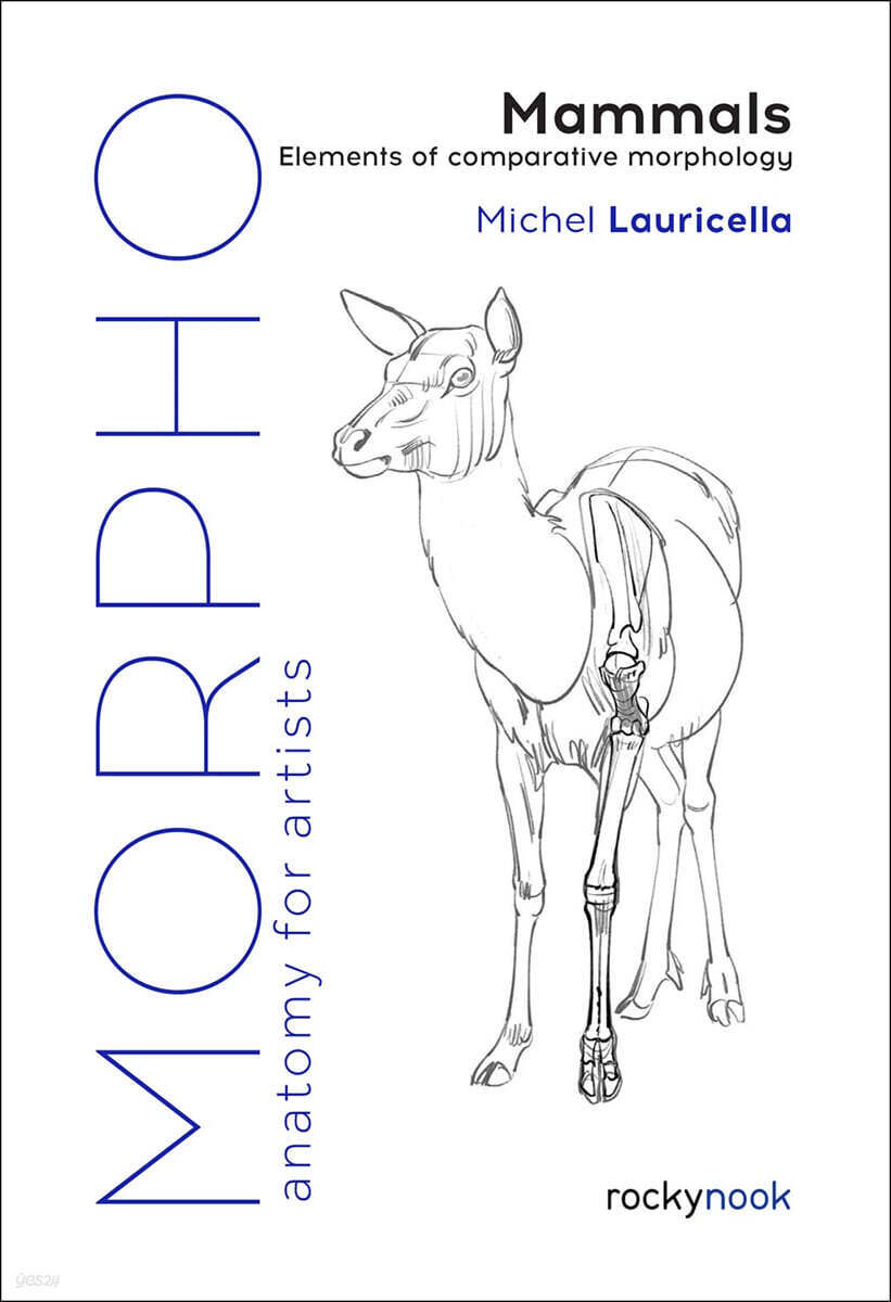 Morpho : mammals 