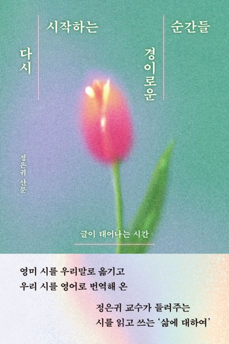 다시 시작하는 경이로운 순간들 (글이 태어나는 시간) 표지