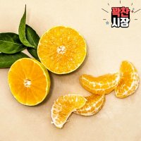 [꽉찬시장] 여름과일 제철과일 귤 과즙 팡팡 제주 황금향 2kg 소과 /한라봉 천혜향