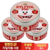 수제 장인 자일리톨 팝 캔디 사탕  아누카사과  3개  70g