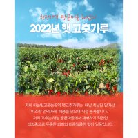 100% 해남 국내산 고춧가루 1KG 해남땅끝마을 22년 햇고추가루  보통맛 1KG  1개