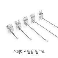 스페이스월고리 월고리 스페이스고리