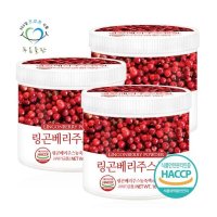 푸른들판 핀란드 링곤베리 주스 분말 가루 160g 3통 베리 파우더