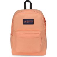 잔스포츠 미니 백팩 가방 책가방 JanSport 피치