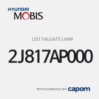 LED 테일게이트 램프 (2J817AP000) 모하비, 벨로스터