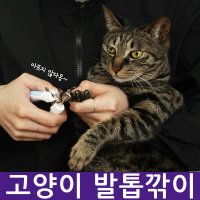 고양이 손톱깍이 발톱깎이 세트 안전 관리 혈관 보호