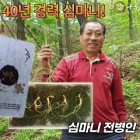 전병인의 삼나루 산양산삼 산양삼 장뇌삼 9년근 10뿌리