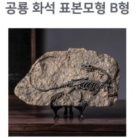 인테리어용 공룡화석 표본모형 관찰키트 B형 실험관찰