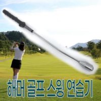 드라이버스윙연습기 골프 빈스윙 연습봉 스윙배트