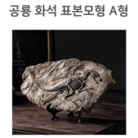 인테리어용 공룡화석 표본모형 관찰키트 A형 실험완구