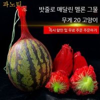 그물망 수박망 과일망 포장용 호박망 방조망 포장 낙하보호 메쉬 파노티