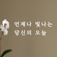 코이핀즈 언제나 빛나는 당신의 오늘 감성 레터링 스티커 small