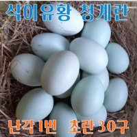 강원고성 자연방사 청란 (초란) 청계란 유정란 (난각1번)  30구  1개