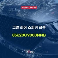 현대모비스그릴 리어 스피커 좌측 (85620G9000NNB)