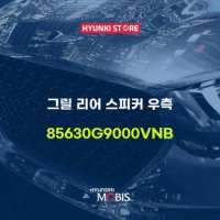 현대모비스그릴 리어 스피커 우측 (85630G9000VNB)