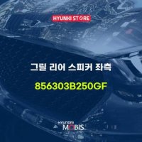 그릴 리어 스피커 좌측 (856303B250GF)