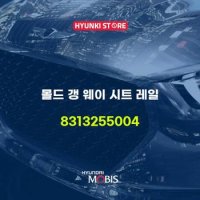 몰드 갱 웨이 시트 레일 (8313255004)