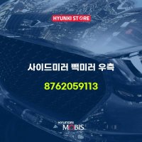 현대모비스 백 커버 프론트 시트 우측 884913X000HZ