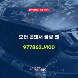 모터 콘덴서 쿨링 팬 (977863J400)