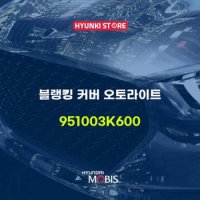 블랭킹 커버 오토라이트 (951003K600)