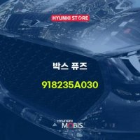 현대모비스박스 퓨즈 (918235A030)