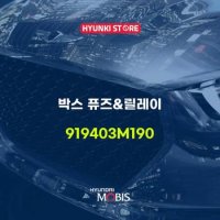 현대모비스박스 퓨즈&릴레이 (919403M190)