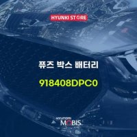 현대모비스퓨즈 박스 배터리 (918408DPC0)