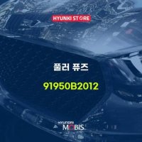 현대모비스풀러 퓨즈 (91950B2012)