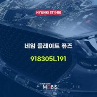 현대모비스네임 플레이트 퓨즈 (918305L191)