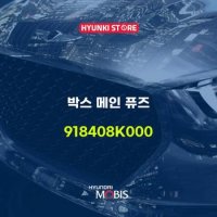 현대모비스박스 메인 퓨즈 (918408K000)