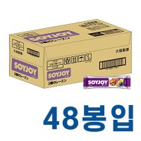 SOYJOY 소이조이 3종류 건포도 일본과자 48봉 세트