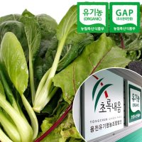 [충북충주] 산지직송 GAP인증 유기농 쌈채소 600g