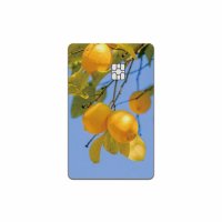 Lemon tree 감성 풍경 카드 스킨 프로텍트스킨 보호 필름 신용카드 체크카드 카드