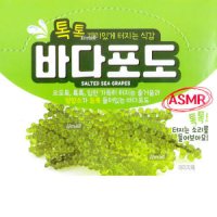 바다포도 20g 1개 오도독 식감 톡톡 ASMR 모자반 음식 수산물 간식 주전부리