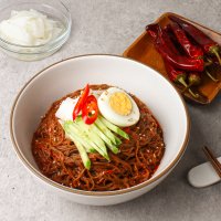 설악푸드 설악칡냉면 10인분 양념장 500g 매운불양념장 500g 무김치1kg