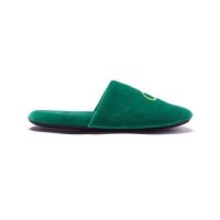 FRANKLY SLEEPING Washable Unisex Home Office Shoes Green