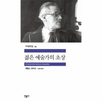 민음사 봄봄북스 젊은 예술가의 초상 세계문학전집 45