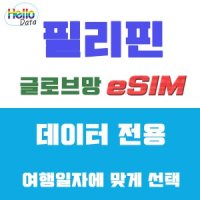 필리핀 이심 글로브 데이터 eSIM 핫스팟 유심 여행 e심 마닐라 클락 세부 보라카이