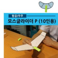 스티로폼 무동력 모스글라이더 비행기 10인 캠핑장장난감 완구