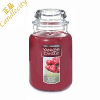 양키캔들 유리병향초 대 Jar Candle Large 623g -향 26종