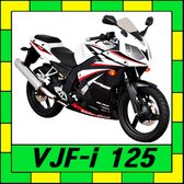 대림자동차 로드윈 VJF125