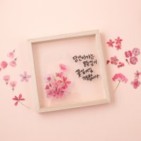 나무아크릴투명액자 S 압화 누름꽃 캘리 원목 DIY