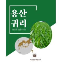 새싹 귀리 씨앗 새싹귀리 씨 종자 30g 국내산  겉귀리 씨앗