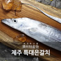 100%제주산 은갈치! 제주사람들 특대 은갈치 300g x 6마리, 총 24토막