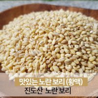 진도 노란보리 찰보리 햇곡 잡곡쌀 1kg [23년산 출하]  1개