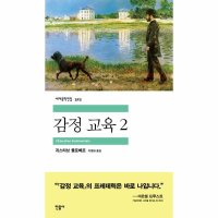 민음사 감정 교육 2 민음사 세계문학전집 323