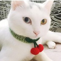 DOG CAT 강아지 고양이 뜨개 케이프 체리 스카프 1P