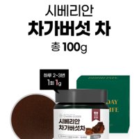 시베리안차가버섯 러시아차가버섯 추출분말 가루 원물